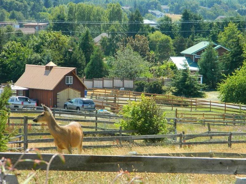 Sq Olympic-View-Cottage Sequim Bagian luar foto