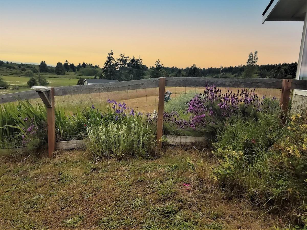 Sq Olympic-View-Cottage Sequim Bagian luar foto